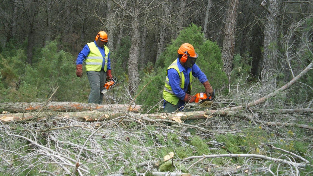 trabajar operario forestal Cádiz