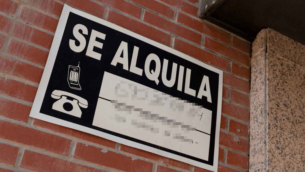 Ayuda alquiler