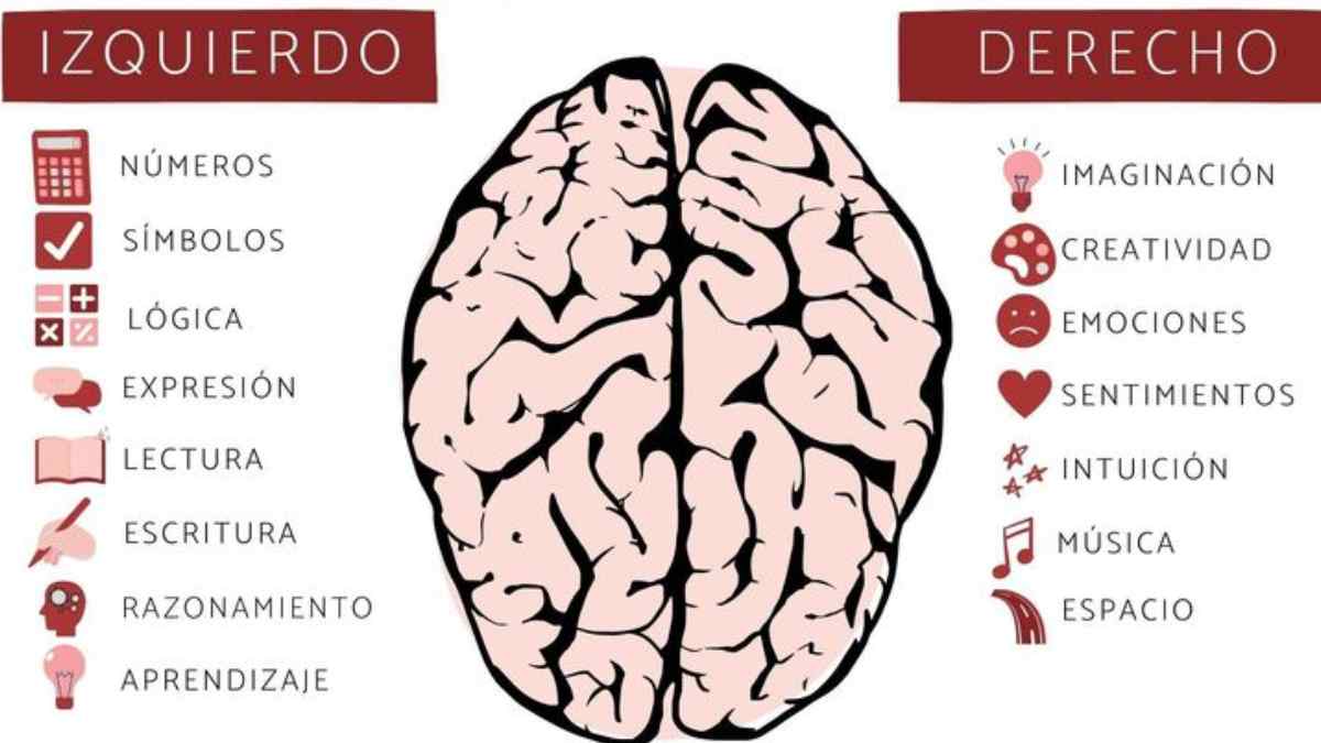 La escritura a mano puede ser un remedio muy útil para batallar contra el deterioro cognitivo.