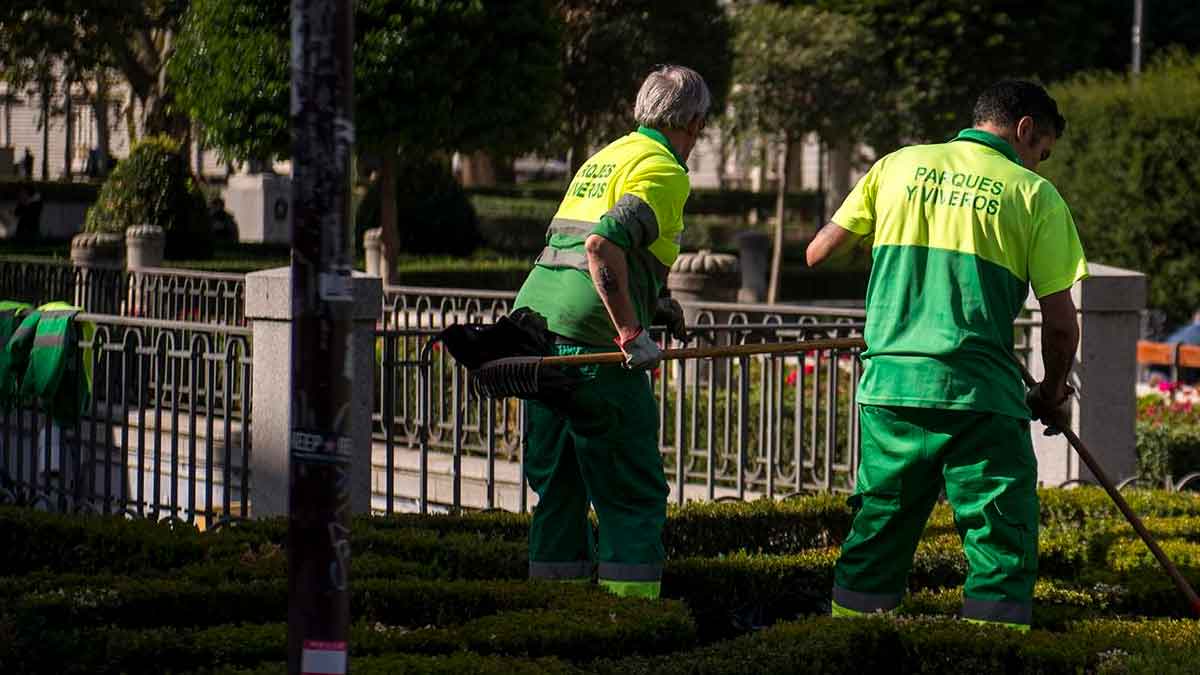 Trabajadores de jardinería municipal cuidando parques en Córdoba