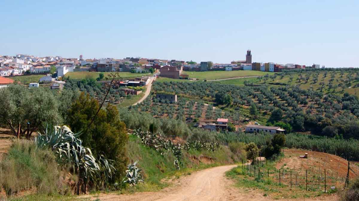Vista panorámica de Adamuz en Córdoba con olivares y cortijos, entorno donde se ofrece empleo para matrimonio casero en finca