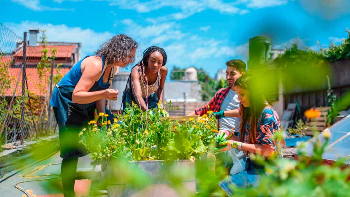 Grupo de estudiantes realizando prácticas de jardinería en un huerto educativo dentro del ciclo de FP en Jardinería y Floristería