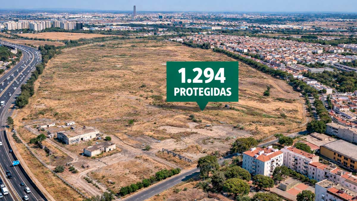 Solar en Palmete donde la Junta construirá 1.294 viviendas protegidas en Sevilla