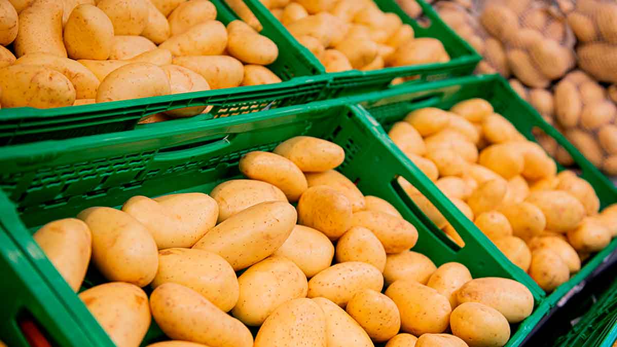 Patatas de origen español en cajas verdes listas para su distribución en Mercadona