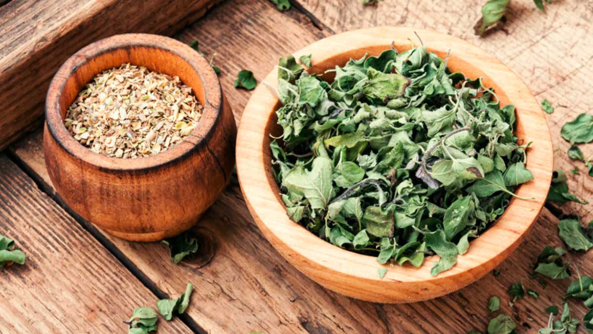 Hojas frescas y secas de orégano, especia mediterránea con propiedades antiinflamatorias