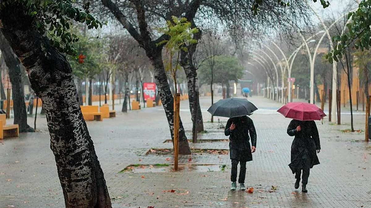 Lluvia intensa en Andalucía con personas caminando bajo paraguas en una jornada de borrasca