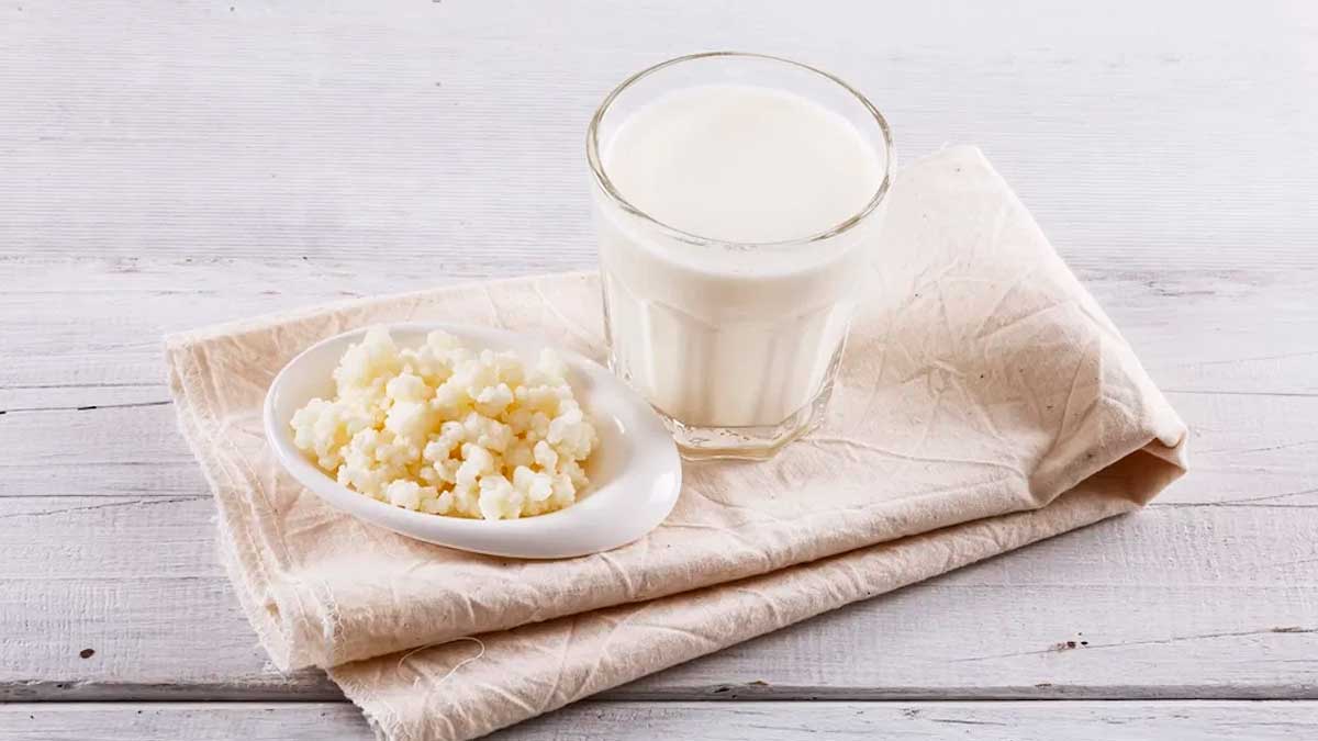 kéfir de leche en vaso con gránulos de kéfir sobre un plato