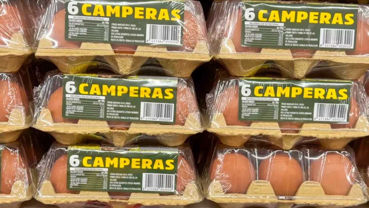 Huevos camperos de Mercadona tras la bajada de precio anunciada en sus supermercados