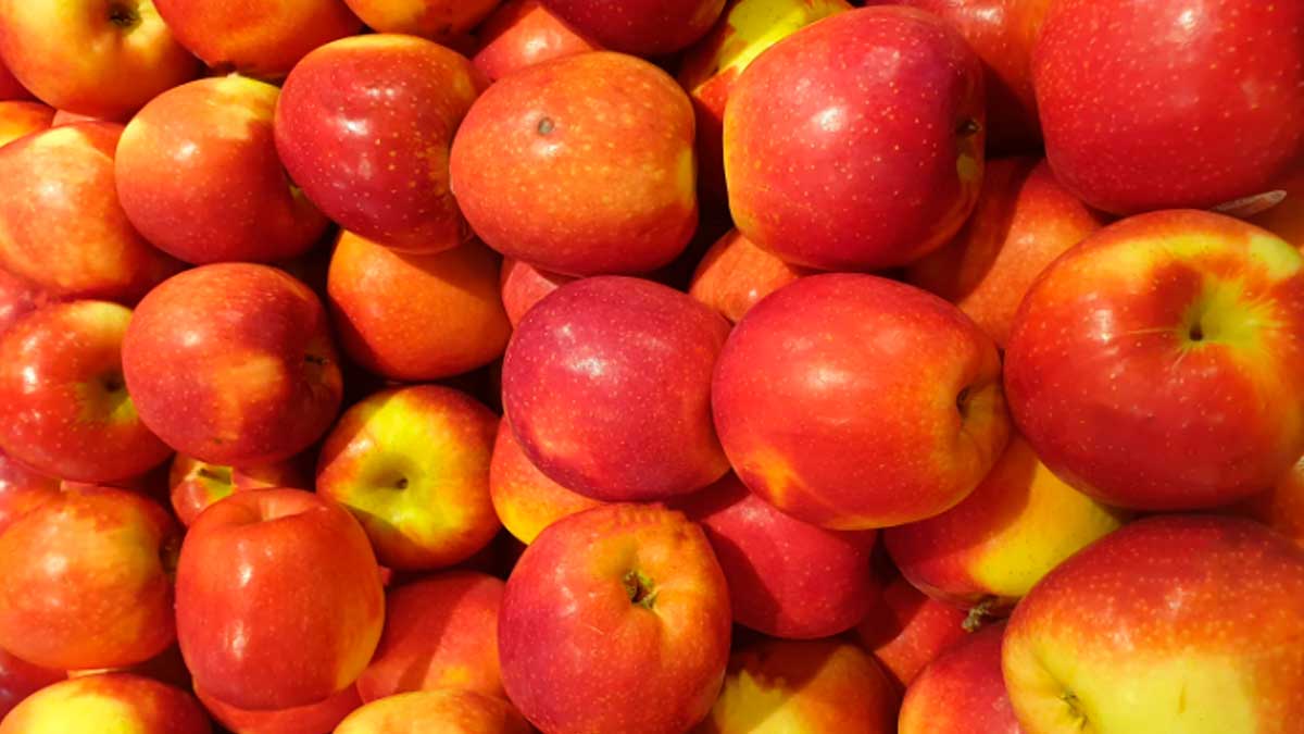 Manzanas rojas con posibles residuos de pesticidas en Europa