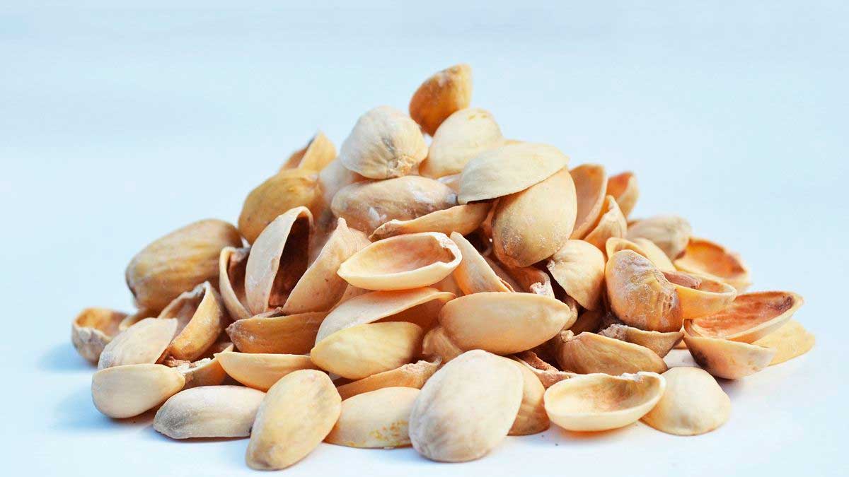Cáscaras de pistacho utilizadas para fabricar baterías sostenibles en la Universidad de Córdoba