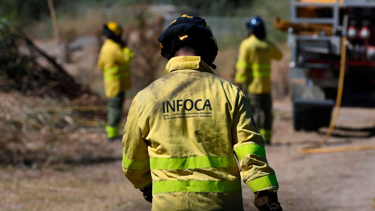 Bombero forestal del INFOCA durante tareas de prevención de incendios en Andalucía