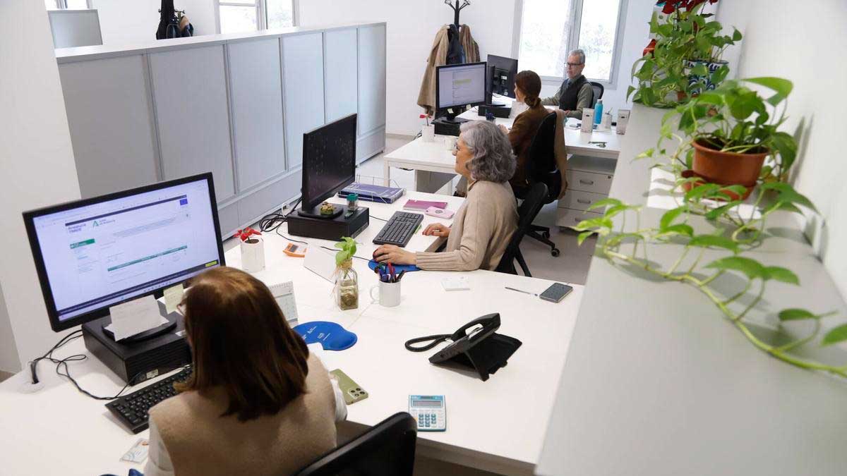Empleados de oficina de la Junta trabajando en ordenadores en espacio administrativo compartido