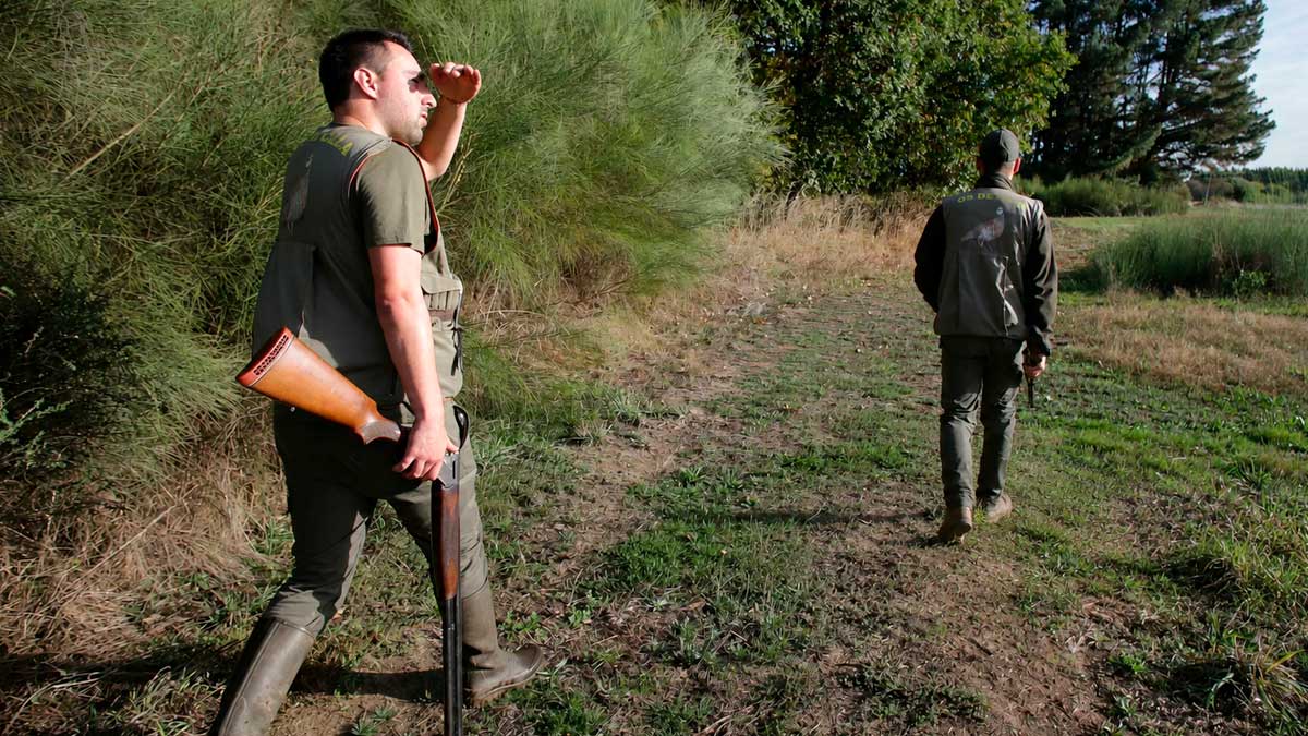 Dos cazadores recorren un terreno cinegético en Jaén durante la oferta pública de caza 2026-2027