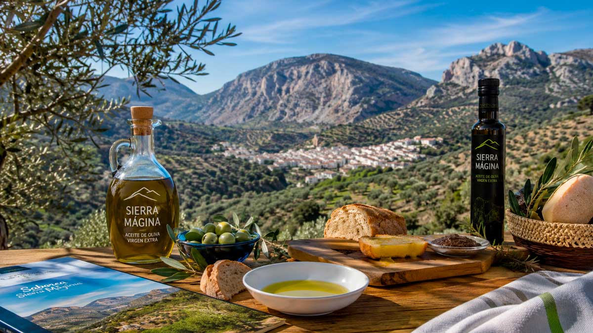 Vista gastronómica de Sierra Mágina con aceite de oliva virgen extra y paisaje de olivares en Jaén