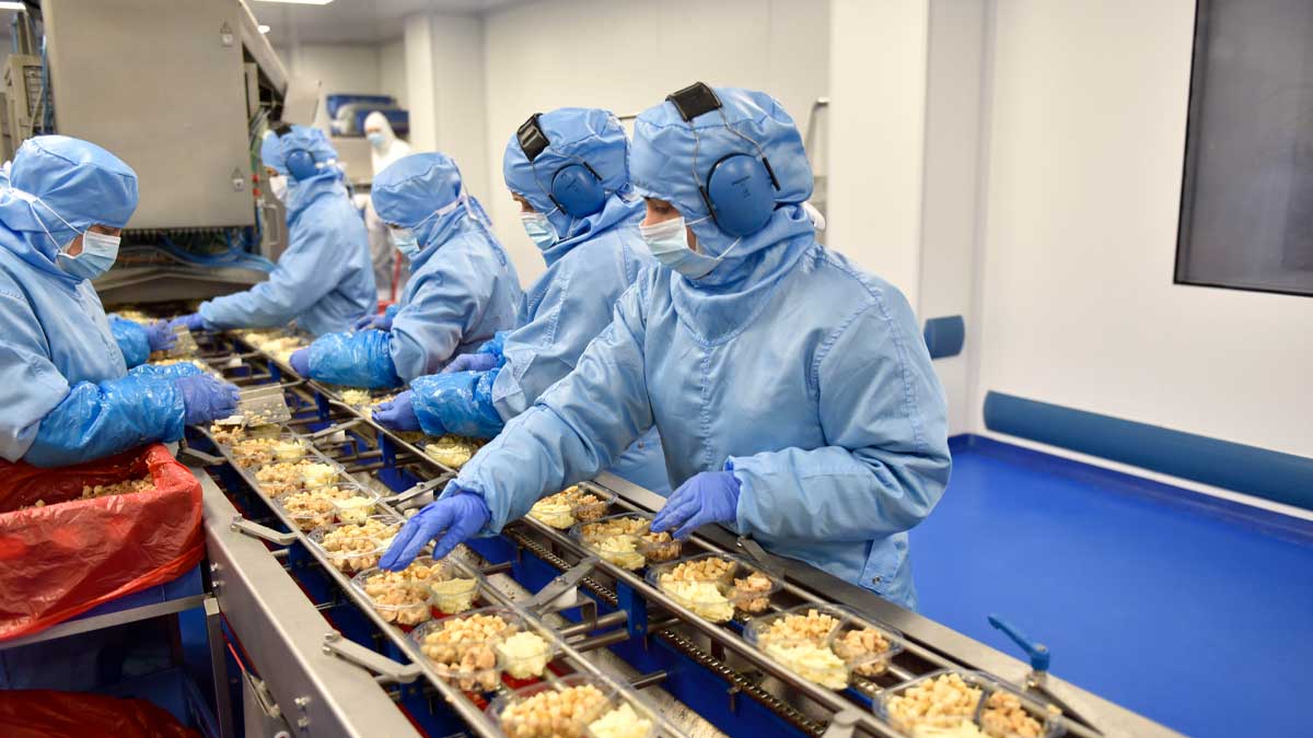 Trabajadores en la planta de Verdifresh en Antequera durante la campaña de contratación de verano