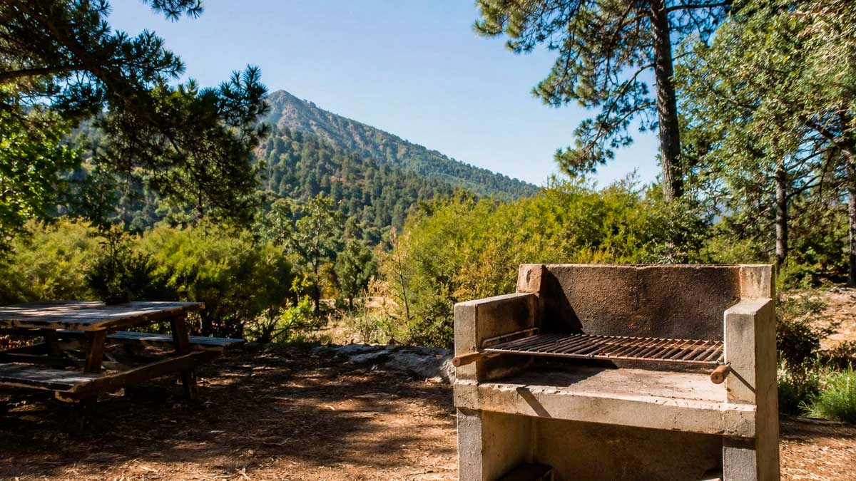 Barbacoa en una zona forestal de Andalucía durante el periodo de prohibición por riesgo de incendios