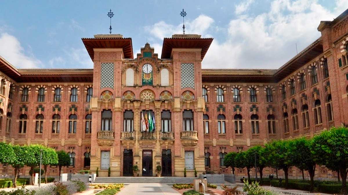 Universidad de Córdoba donde se impartirá el nuevo grado de Ciencias de la Actividad Física y del Deporte