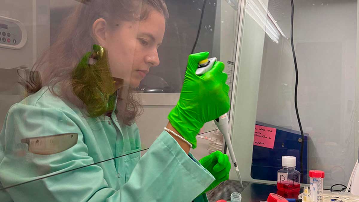 Investigadora de la US analiza isovalerato de la microbiota para proteger la pared intestinal en laboratorio