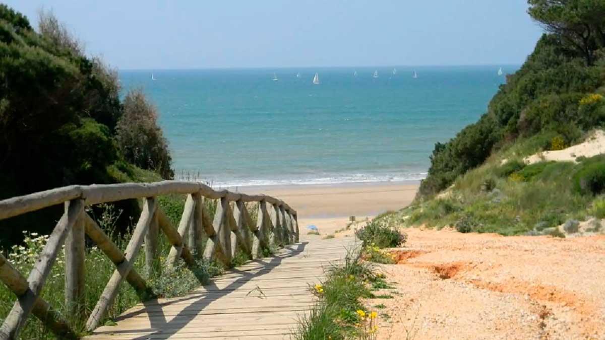Pasarela de madera entre dunas y vegetación que conduce a una playa virgen de la costa de Huelva.