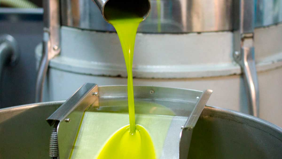 Aceite de oliva recién extraído en proceso de producción industrial