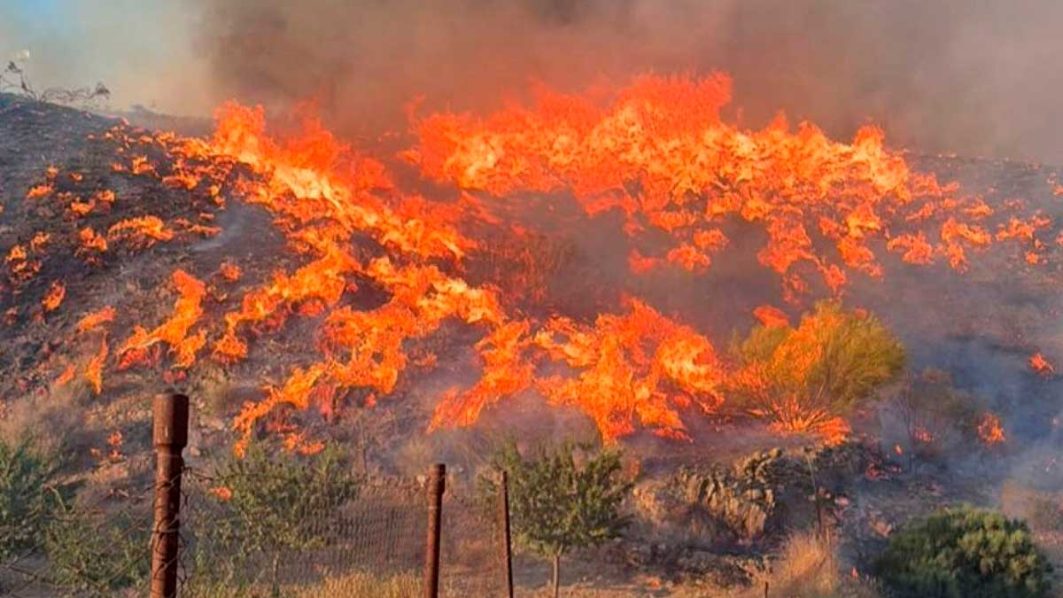 Incendio forestal en Andalucía con llamas intensas y vegetación ardiendo