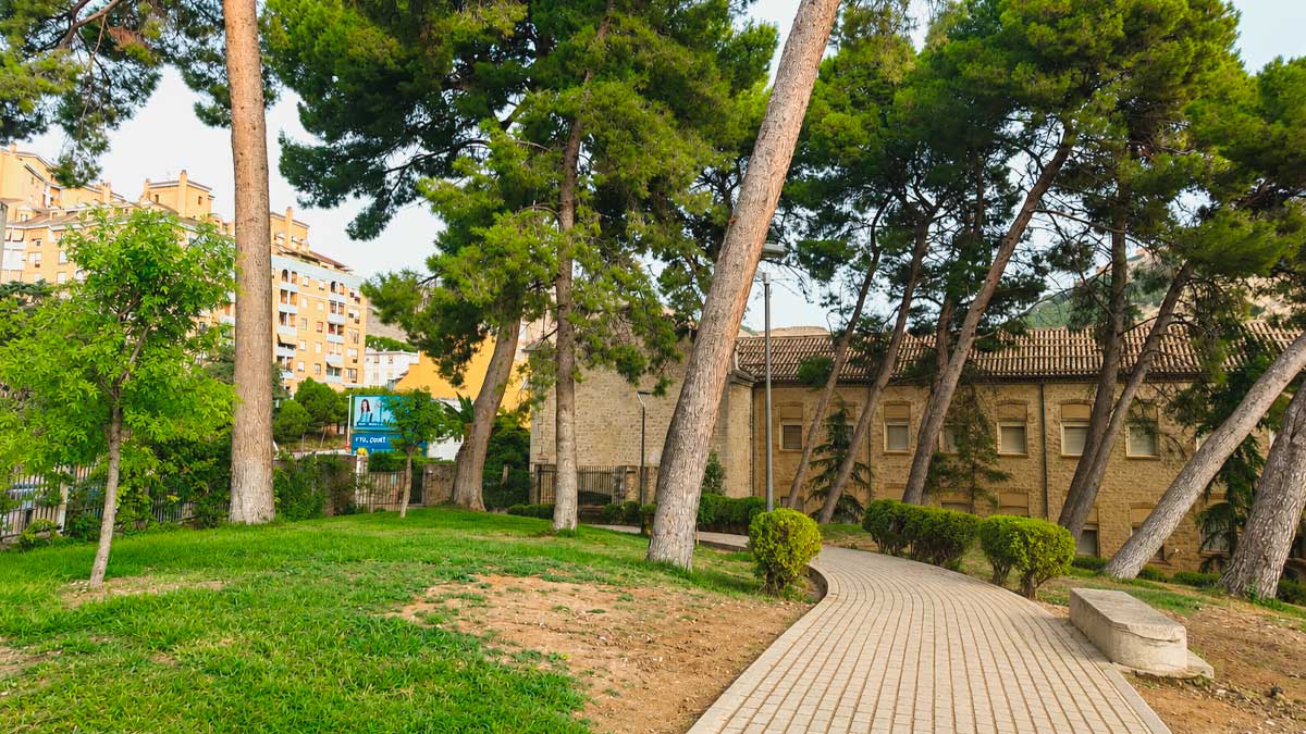 Arbolado urbano de Jaén con pinos y sendero en parque municipal