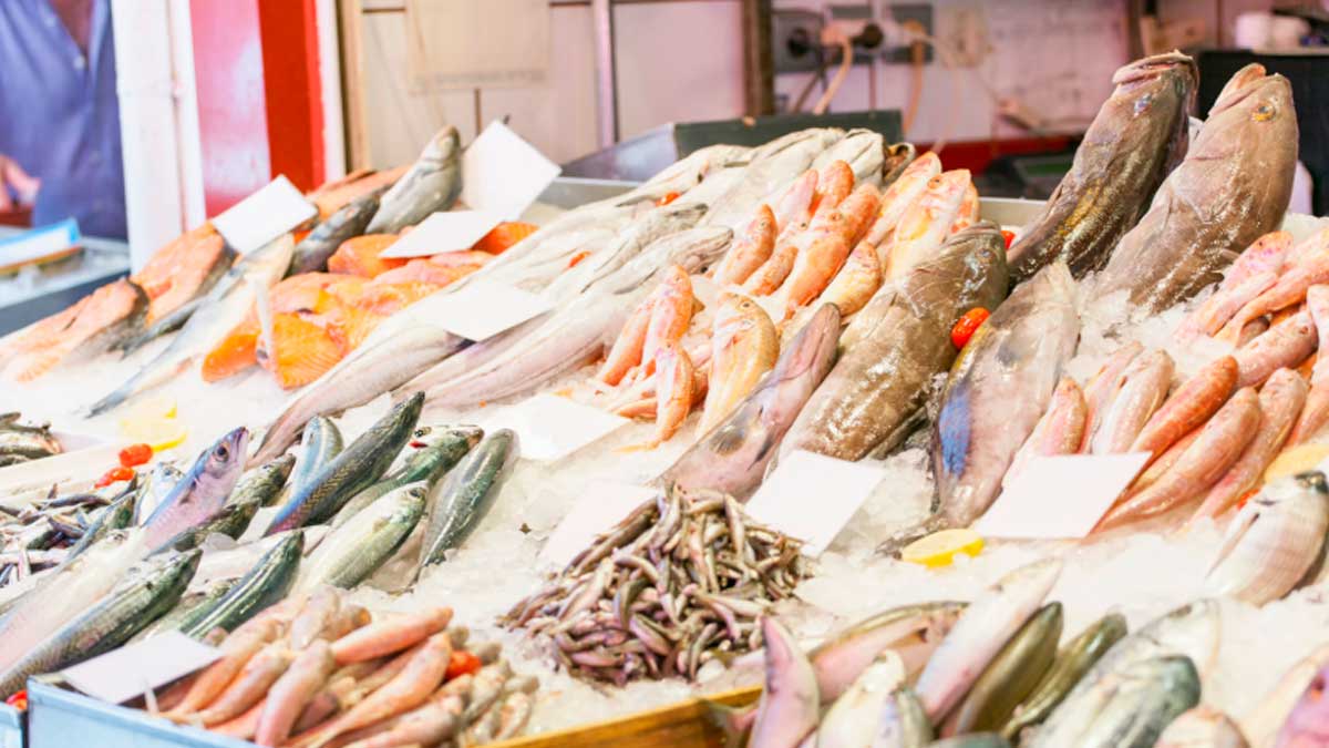 Andalucía incrementa las ayudas para la comercialización de productos pesqueros y acuícolas