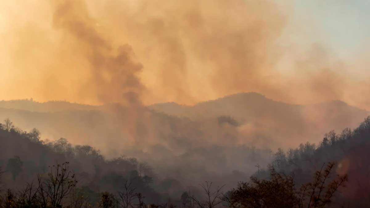 Humo de incendios en Andalucía cubre montañas y afecta la calidad del aire