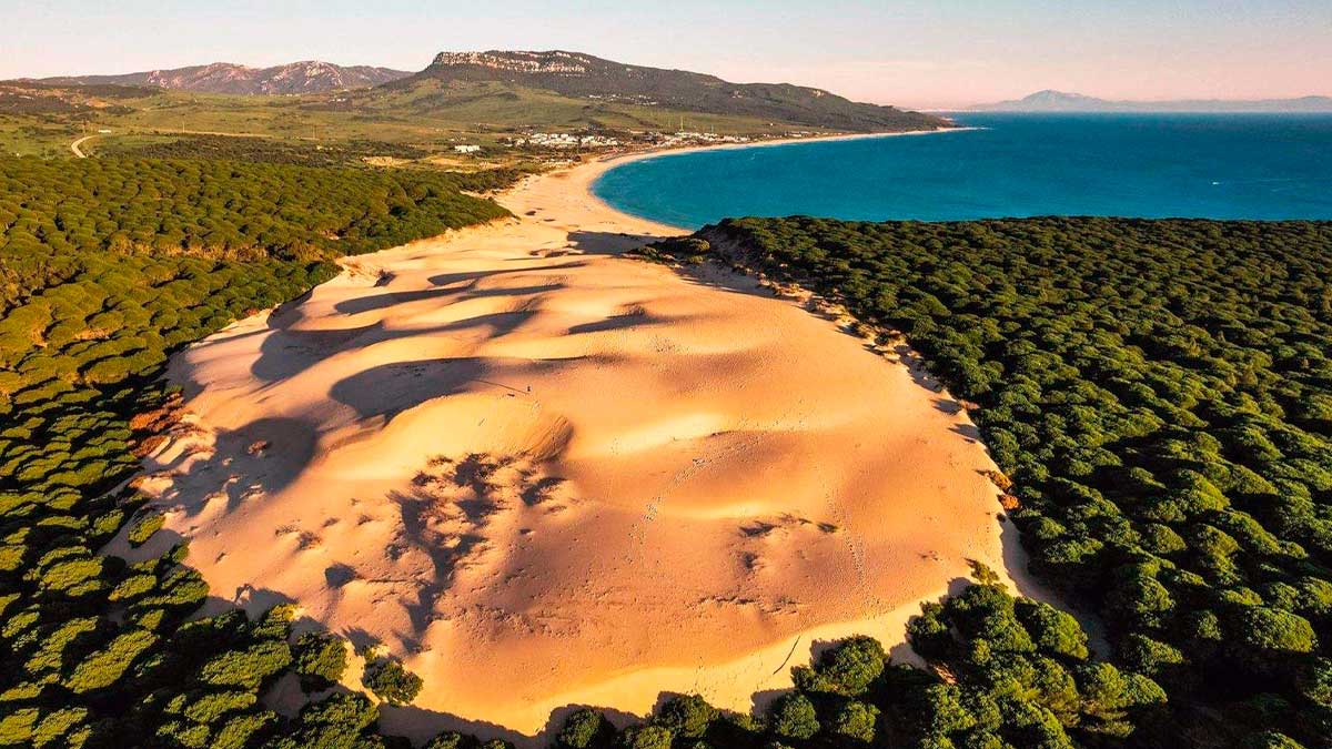 Vista aérea de la duna de Bolonia en Cádiz, rodeada de pinos y junto al mar