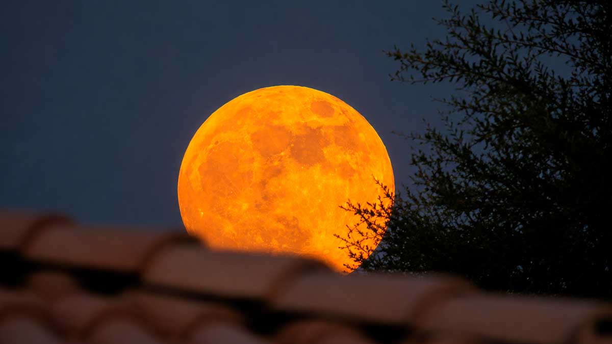 Luna del Ciervo 2026 sobre tejados al atardecer en Andalucía