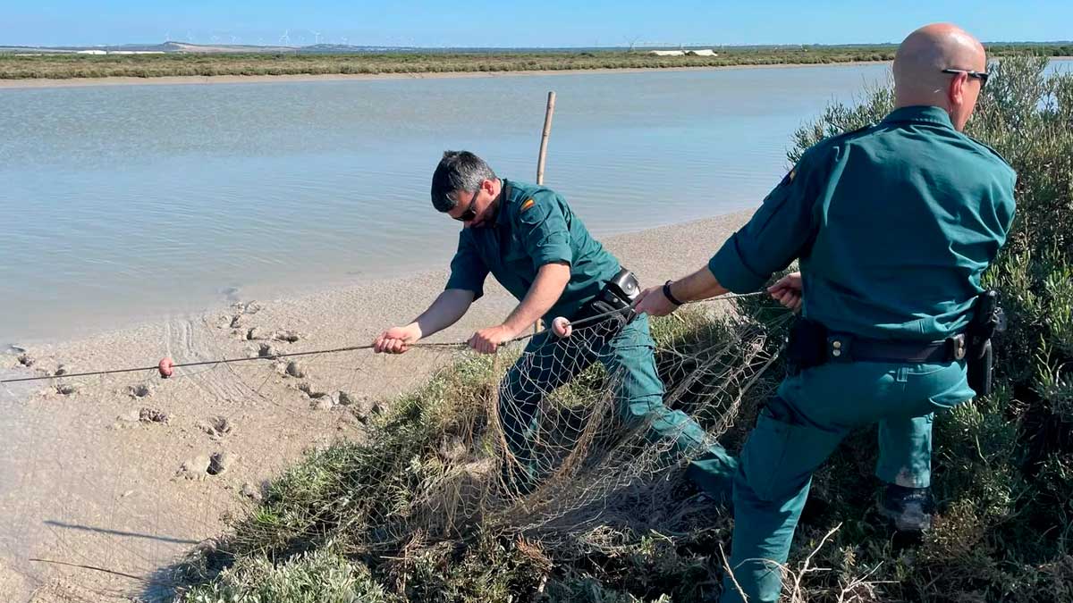 Agentes de la Guardia Civil intervienen en operativo contra el marisqueo ilegal en Andalucía