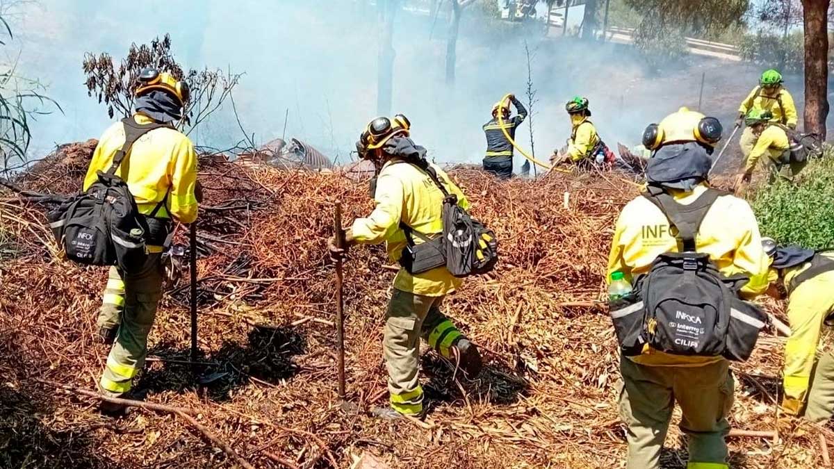 Brigadistas forestales de la EMA trabajan en las labores de extinción de un incendio en Andalucía.