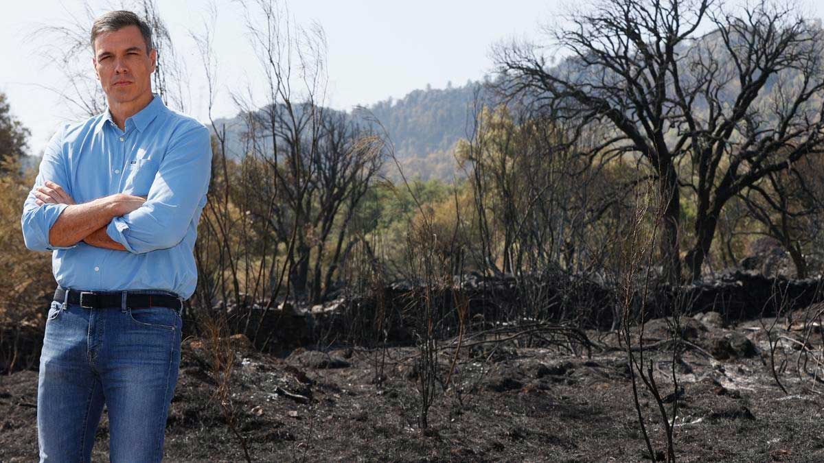 Pedro Sánchez en zona afectada por incendio forestal, innovación climática para pymes
