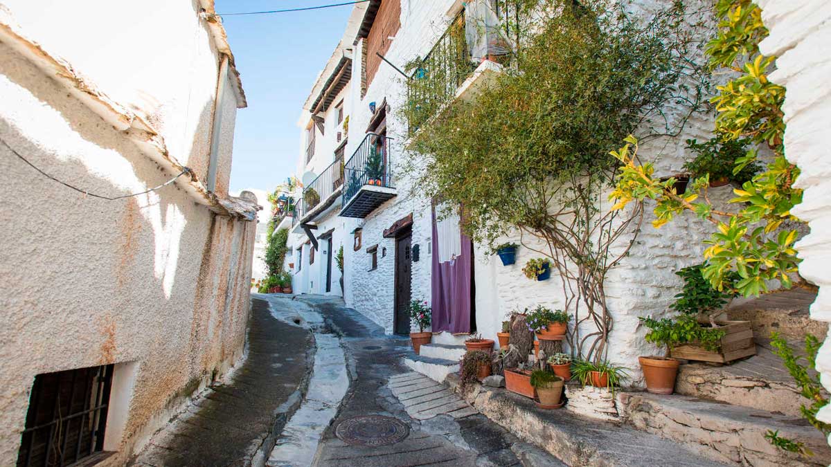 Calle de un pueblo blanco de Andalucía con casas encaladas, vegetación y sombra durante el verano.