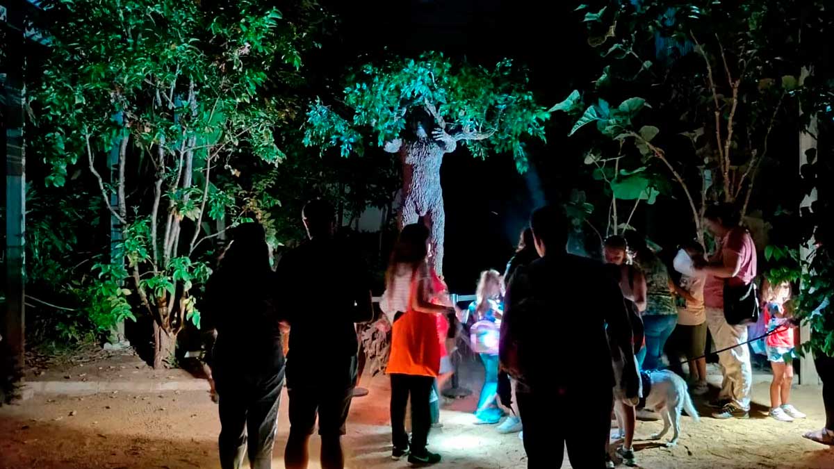 Personas disfrutan de actividades nocturnas en los veranillos del Alamillo en Sevilla