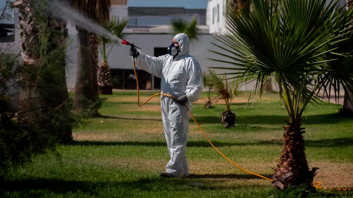 Desinfección en Andalucía por el Virus del Nilo occidental en zonas verdes