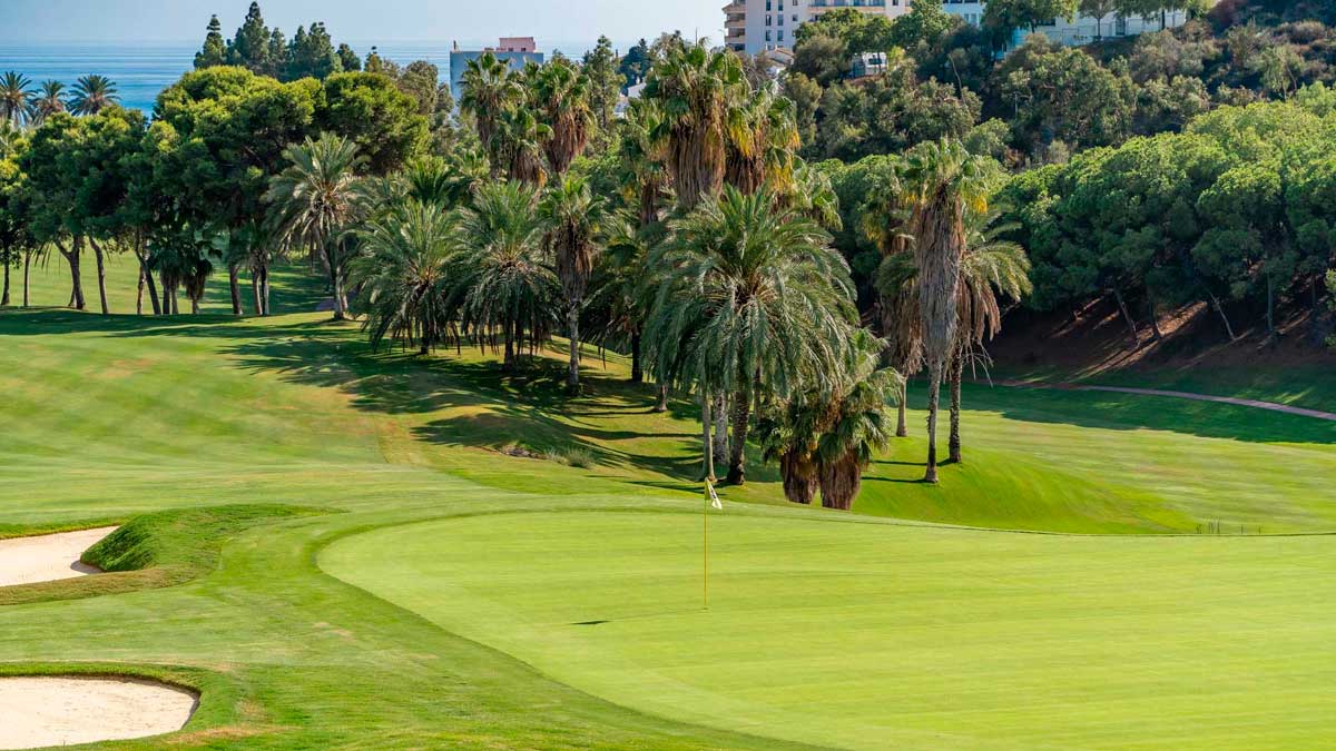 Campo de golf en Andalucía rodeado de palmeras