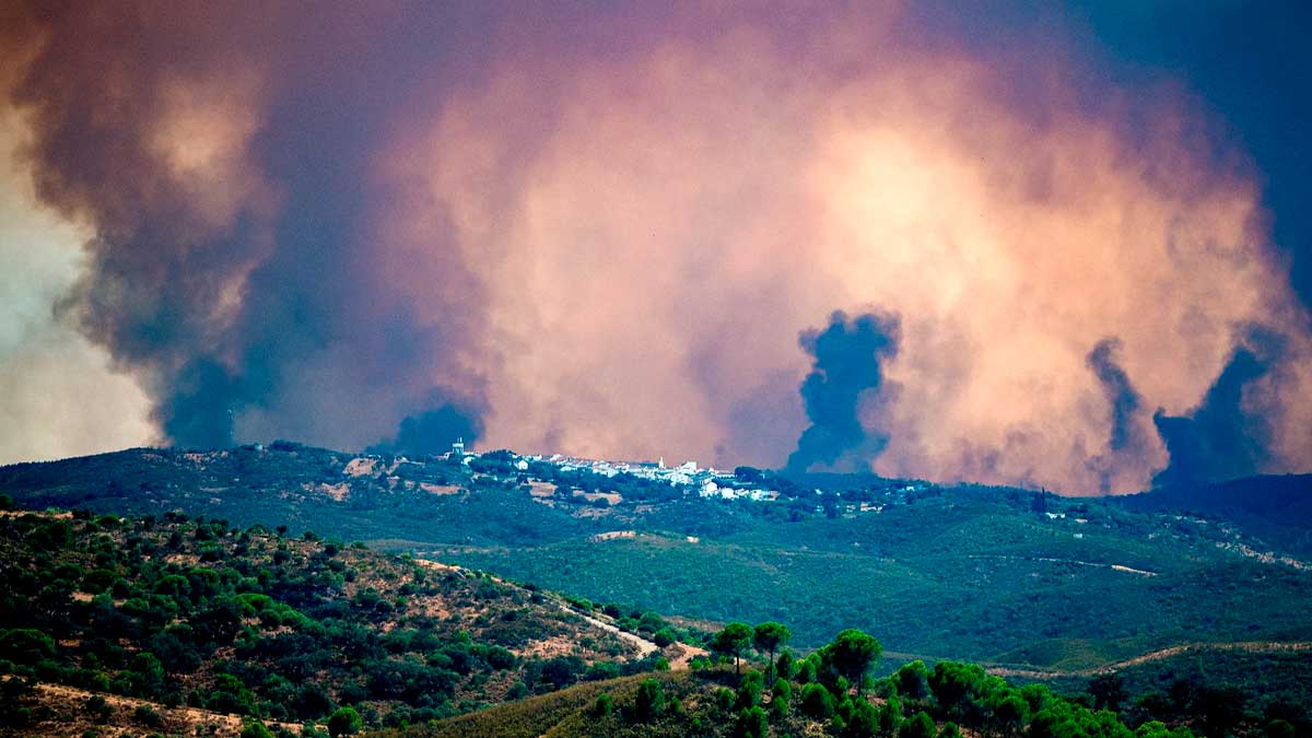 Incendio de Niebla con grandes columnas de humo sobre la sierra y el pueblo afectado