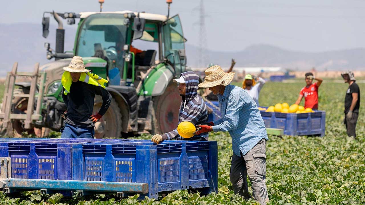 Trabajadores del campo durante una jornada agrícola en Andalucía