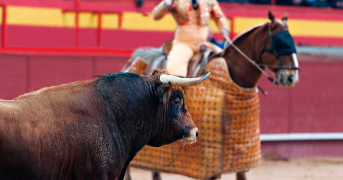 Picador a caballo durante un festejo taurino en una plaza de toros