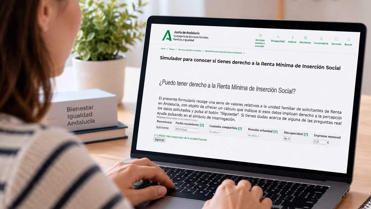Persona consultando el simulador de la Renta Mínima de Inserción Social de Andalucía en un portátil