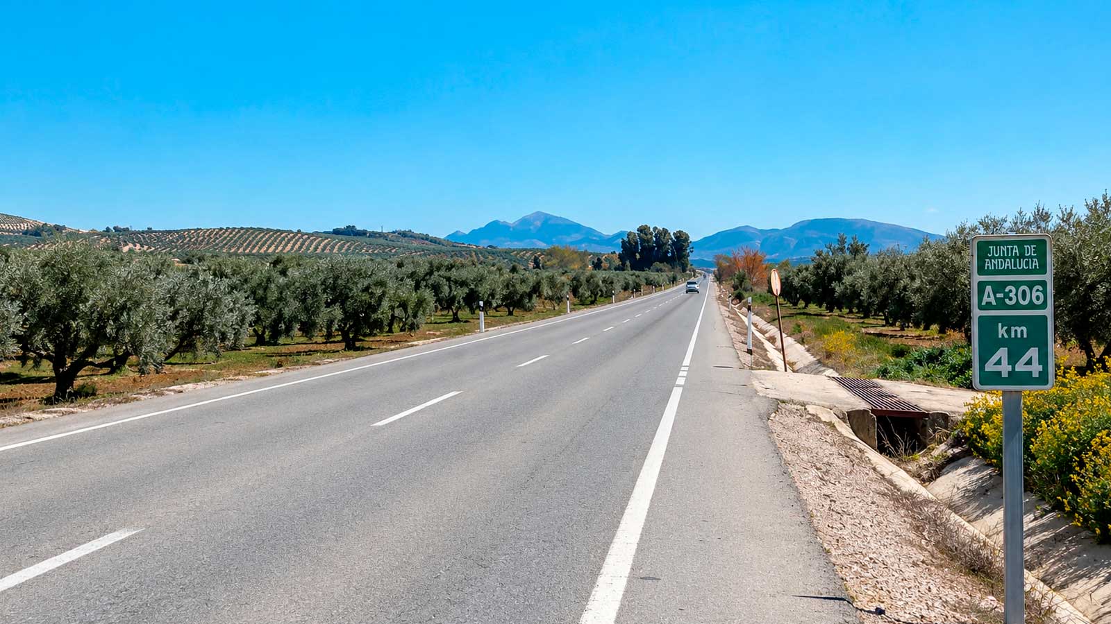 Carretera A-306 entre Jaén y Córdoba, rodeada de olivares y con una señal del kilómetro 44