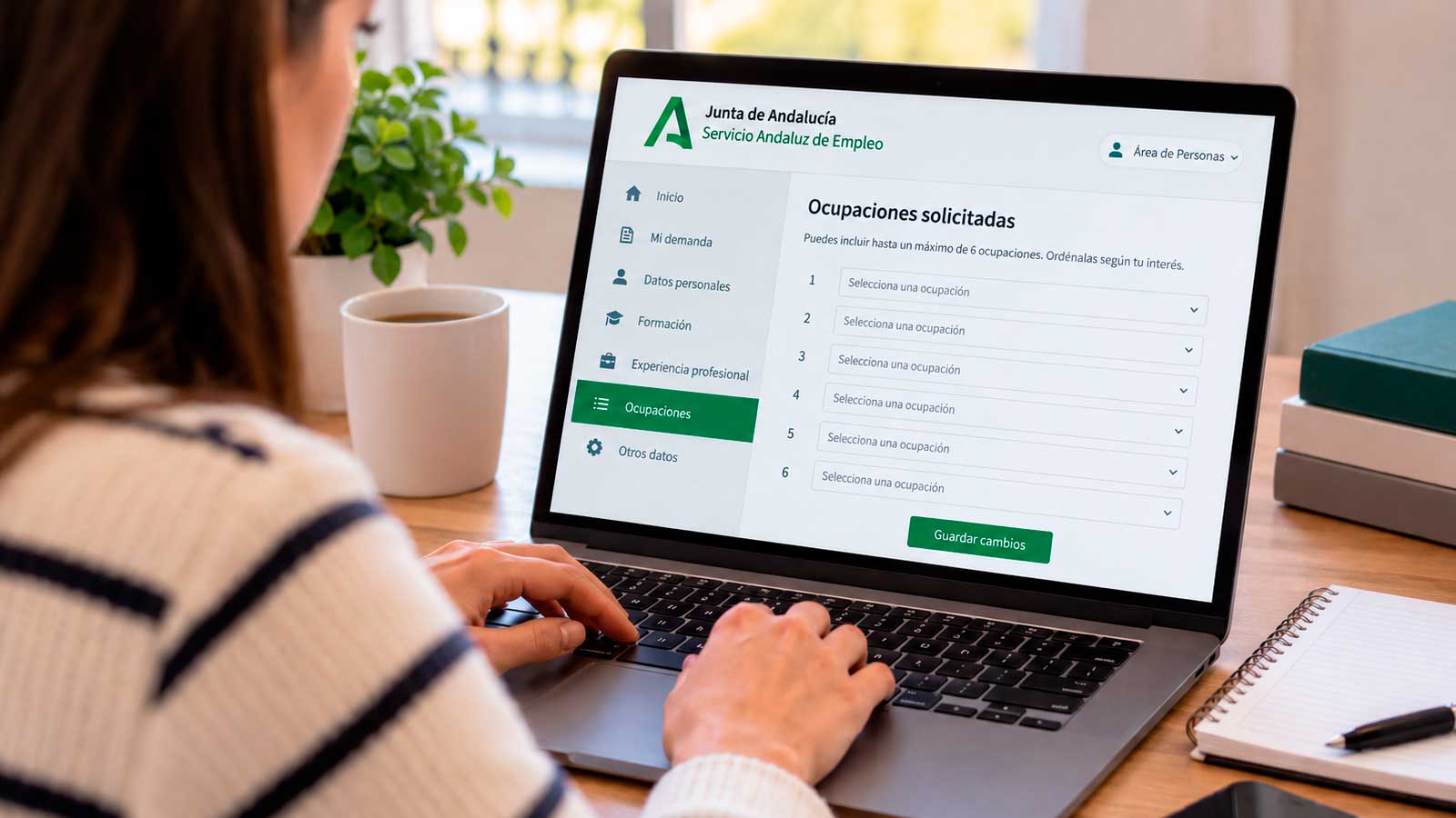 Persona modificando las ocupaciones de su demanda de empleo del SAE desde un ordenador