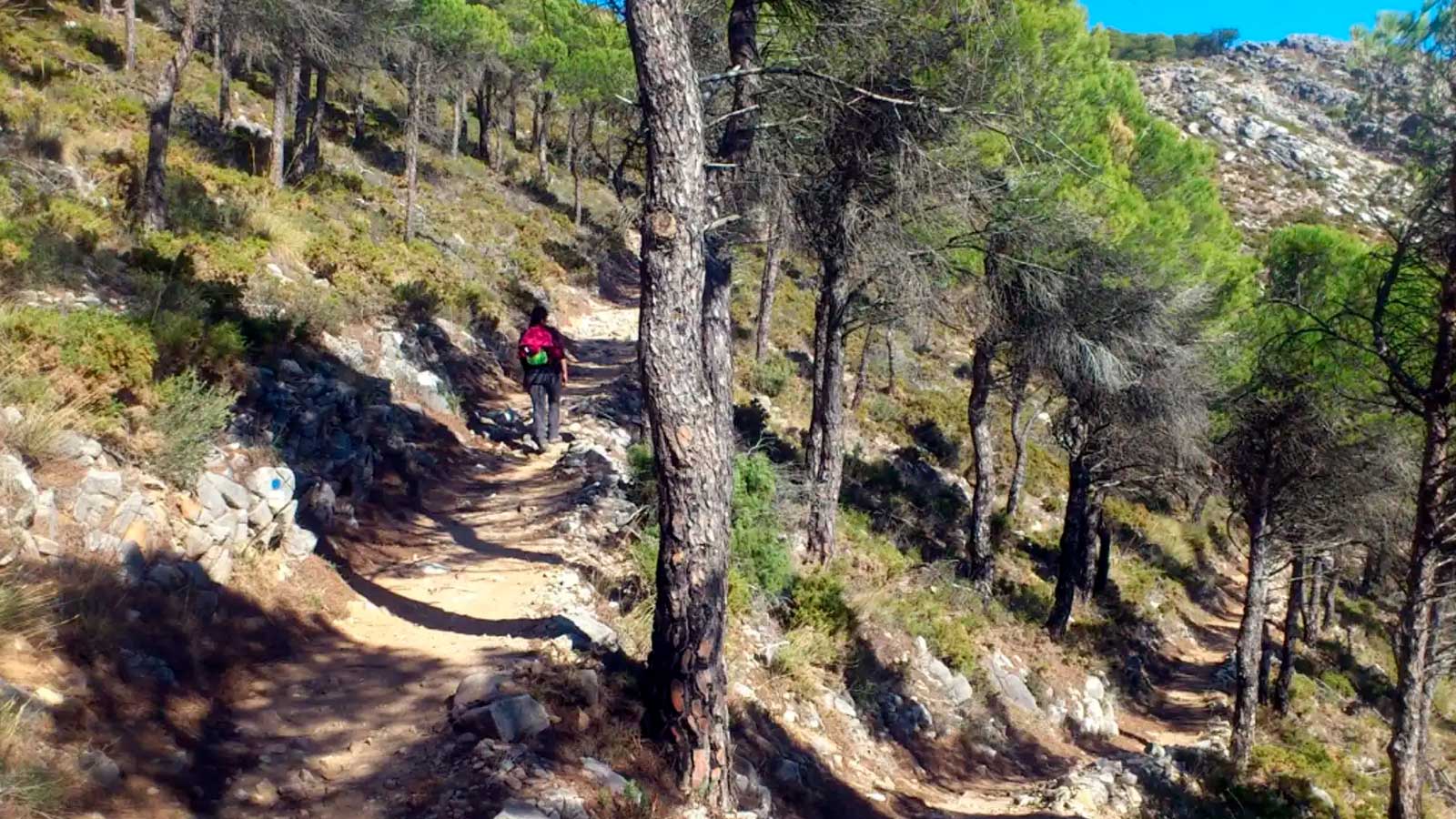 Senderista recorriendo una ruta de la Gran Senda de Málaga